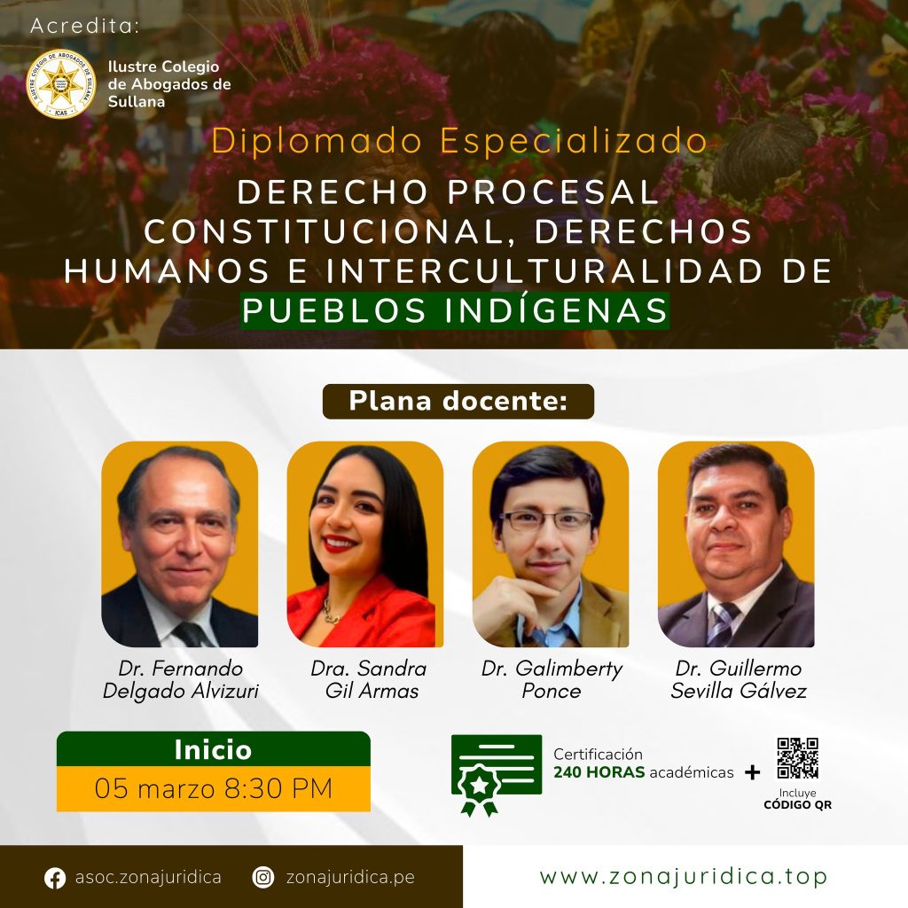 Diplomado: Derecho Procesal Constitucional, Derechos Humanos e Interculturalidad de Pueblos Indígenas
